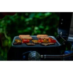 Campingaz Gasgrill Attitude 1200 2go CV -Optimal Küchengrill Geschäft Campingaz Gasgrill Attitude 1200 2go CV@@1671797 8