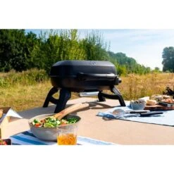 Napoleon Gasgrill TRAVELQ 240 -Optimal Küchengrill Geschäft Napoleon Gasgrill TRAVELQ 240@@1872821 13