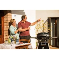 Napoleon Gasgrill TravelQ PRO285 -Optimal Küchengrill Geschäft Napoleon Gasgrill TravelQ PRO285@@9ggfen0o 10