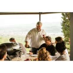 Napoleon Gasgrill TravelQ PRO285 -Optimal Küchengrill Geschäft Napoleon Gasgrill TravelQ PRO285@@9ggfen0o 14