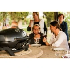 Napoleon Gasgrill TravelQ PRO285 -Optimal Küchengrill Geschäft Napoleon Gasgrill TravelQ PRO285@@9ggfen0o 15