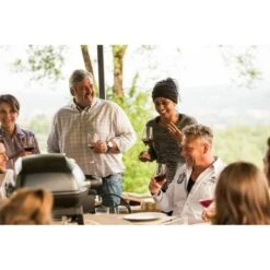 Napoleon Gasgrill TravelQ PRO285 -Optimal Küchengrill Geschäft Napoleon Gasgrill TravelQ PRO285@@9ggfen0o 16