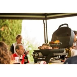 Napoleon Gasgrill TravelQ PRO285 -Optimal Küchengrill Geschäft Napoleon Gasgrill TravelQ PRO285@@9ggfen0o 17