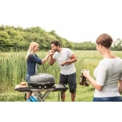 Napoleon Gasgrill TravelQ PRO285X Mit Klappwagen -Optimal Küchengrill Geschäft Napoleon Gasgrill TravelQ PRO285X mit Klappwagen@@9ggfen0n 9