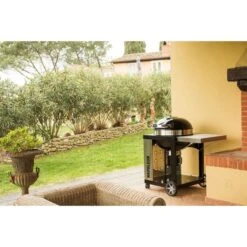 Napoleon Holzkohlegrill PRO22K, Im Rollwagen -Optimal Küchengrill Geschäft Napoleon Holzkohlegrill PRO22K im Rollwagen@@9ggffn01 14