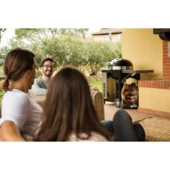 Napoleon Holzkohlegrill PRO22K, Im Rollwagen -Optimal Küchengrill Geschäft Napoleon Holzkohlegrill PRO22K im Rollwagen@@9ggffn01 16