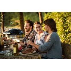 Napoleon Holzkohlegrill PRO22K, Im Rollwagen -Optimal Küchengrill Geschäft Napoleon Holzkohlegrill PRO22K im Rollwagen@@9ggffn01 19