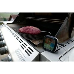 TFA Digitales Grill-Bratenthermometer 14.1509 -Optimal Küchengrill Geschäft TFA Digitales Grill Bratenthermometer 14 1509@@1914083 2