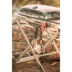Weber Gasgrill Traveler Black -Optimal Küchengrill Geschäft Weber Gasgrill Traveler Black@@1694181 17