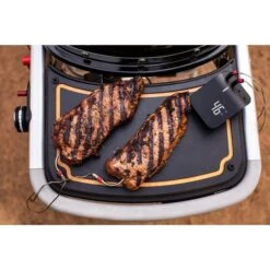 Weber Gasgrill Traveler Black -Optimal Küchengrill Geschäft Weber Gasgrill Traveler Black@@1694181 8