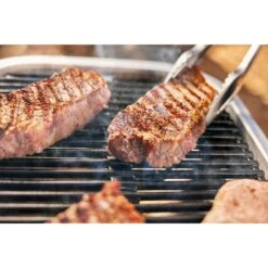 Weber Lumin Elektrogrill -Optimal Küchengrill Geschäft Weber Lumin Elektrogrill@@1875480 11