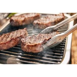 Weber Lumin Elektrogrill -Optimal Küchengrill Geschäft Weber Lumin Elektrogrill@@1875480 9