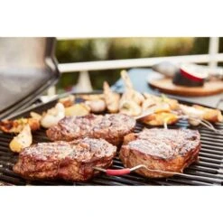 Weber IGrill Pro Messfühler Für Grillgut, Thermometer -Optimal Küchengrill Geschäft Weber iGrill Pro Messf hler f r Grillgut Thermometer@@1303168 13