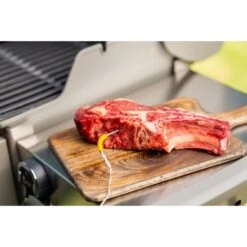Weber IGrill Pro Messfühler Für Grillgut, Thermometer -Optimal Küchengrill Geschäft Weber iGrill Pro Messf hler f r Grillgut Thermometer@@1303168 8